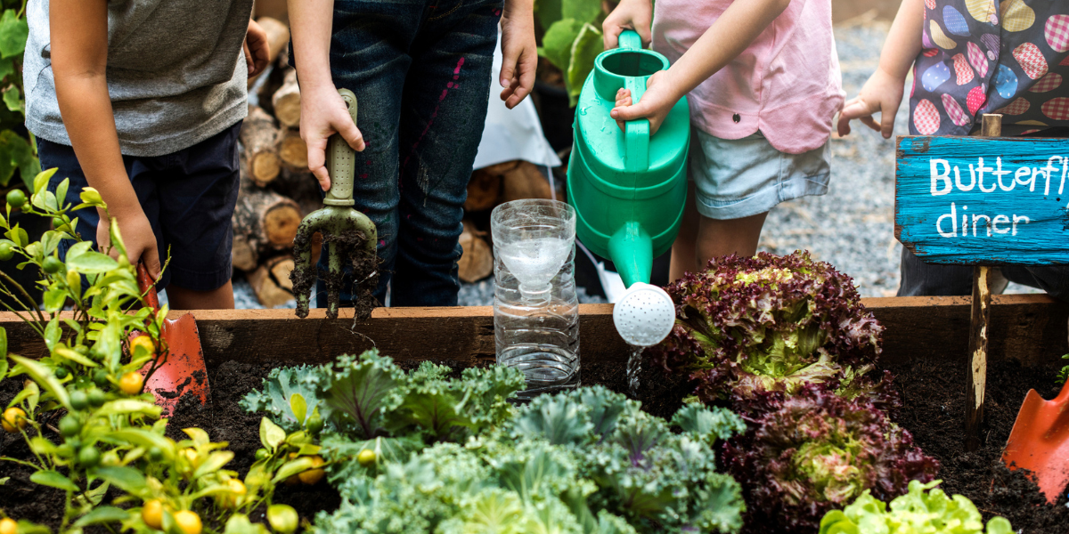 Volunteers watering